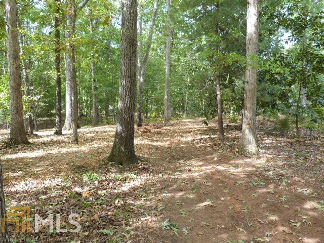 512 Mcdaniel St, Monroe, GA 30655 photo 30