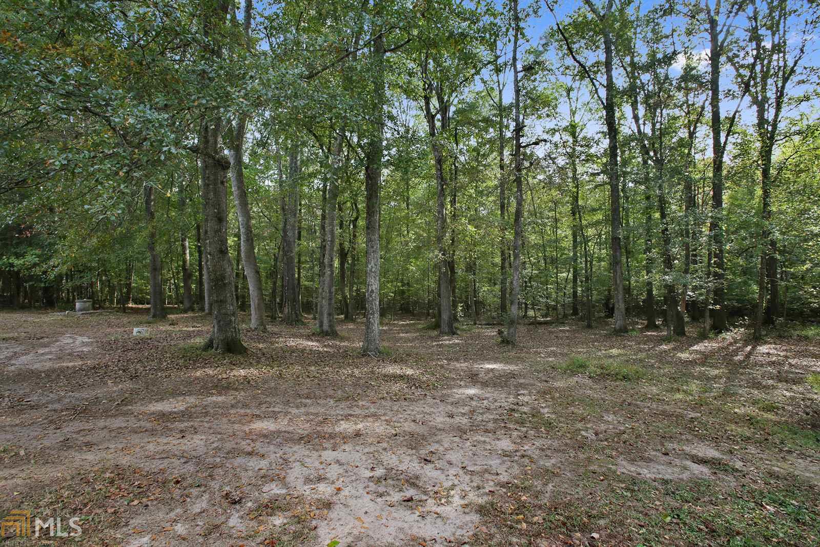 405 Michael Rd, Tyrone, GA 30290 photo 23