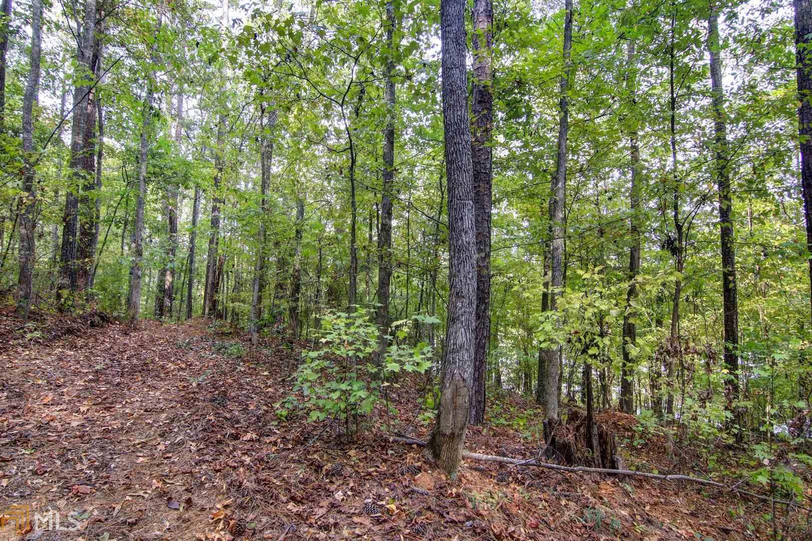 439 Parker Rd, Covington, GA 30014 photo 8