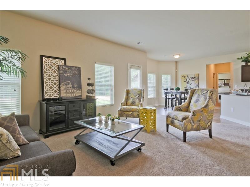 10976 Genova Ter, Hampton, GA 30228 photo 16