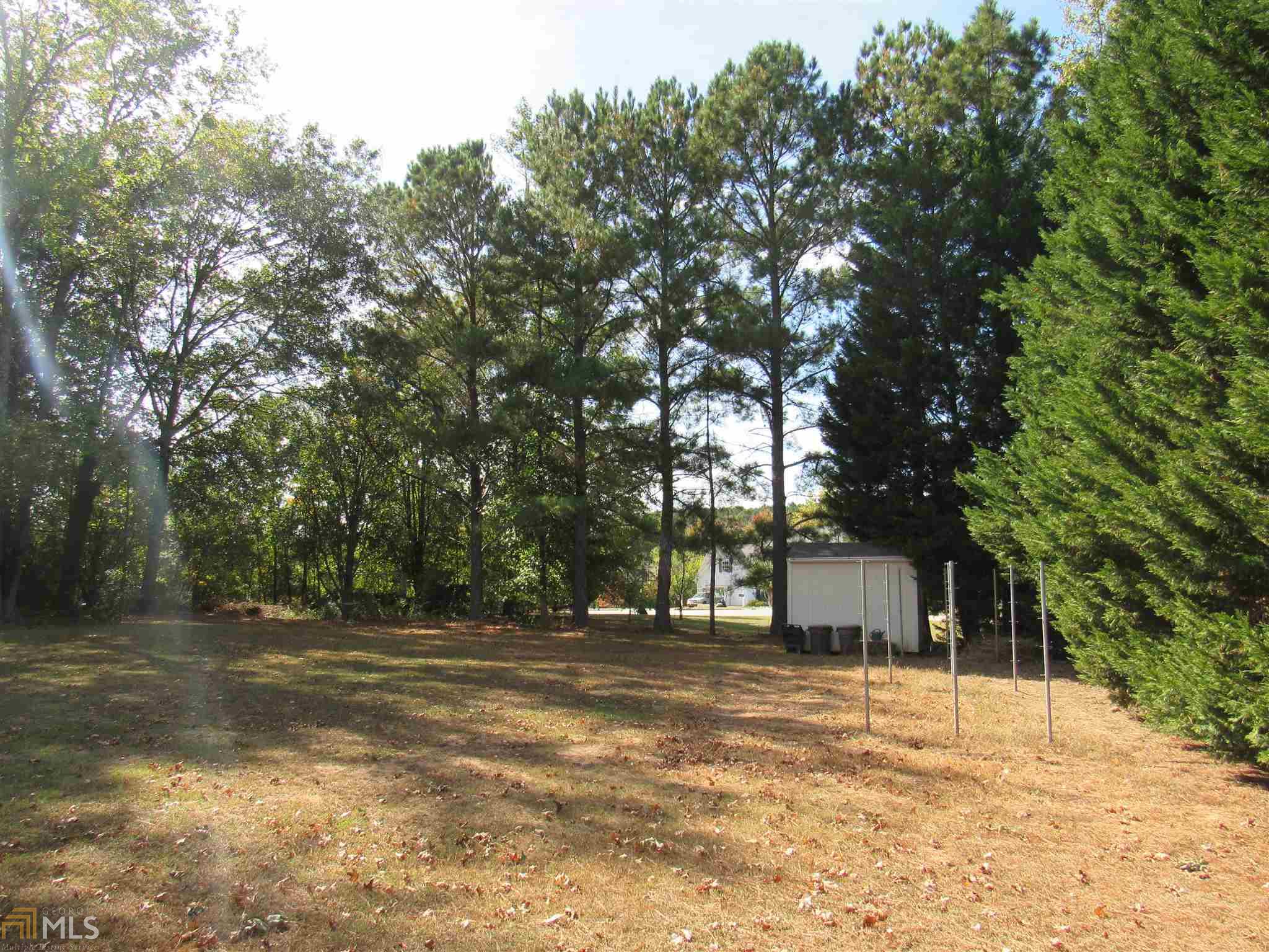 161 Olde Hampton Way, Hampton, GA 30228 photo 21