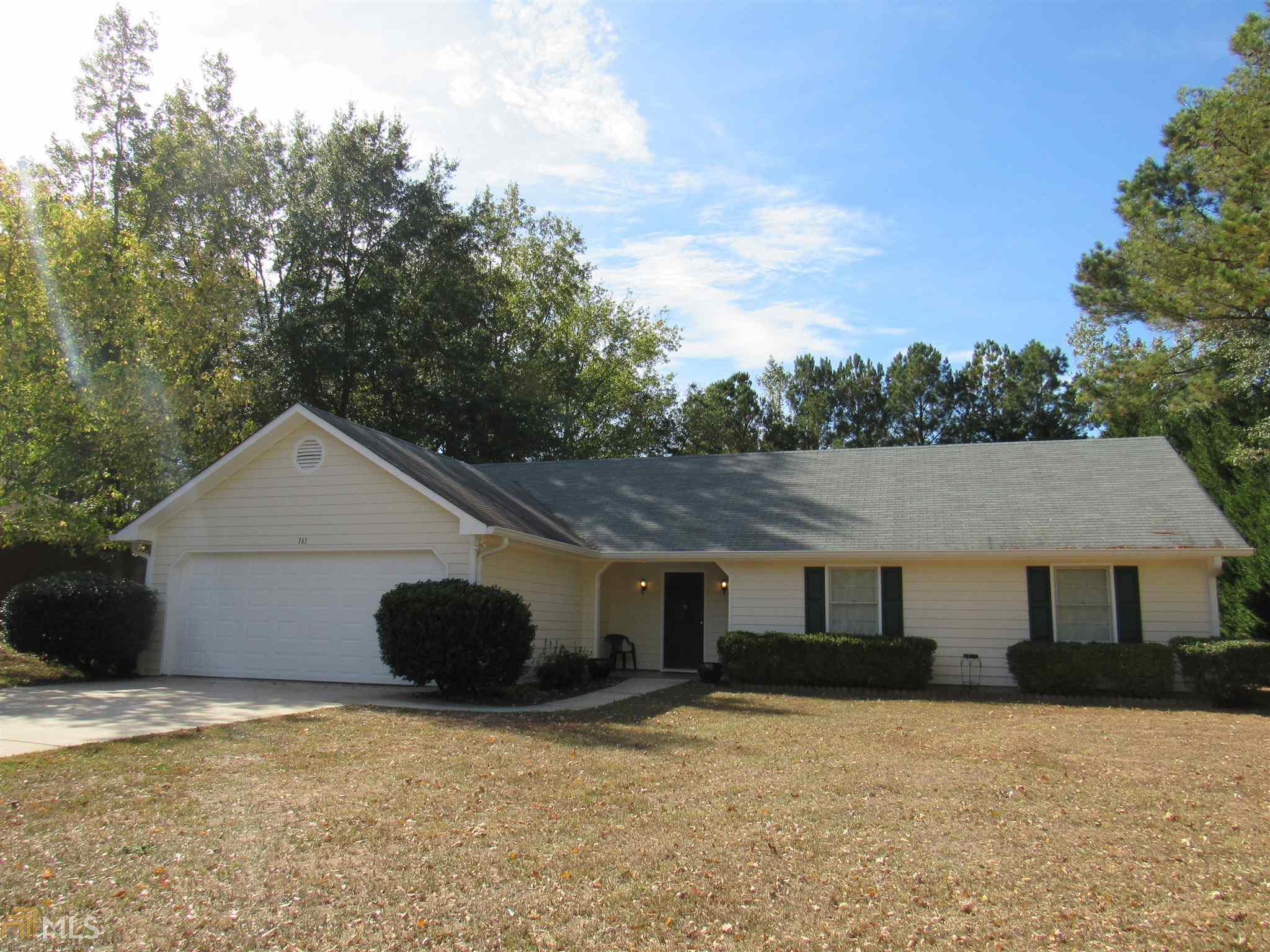 161 Olde Hampton Way, Hampton, GA 30228 photo 1