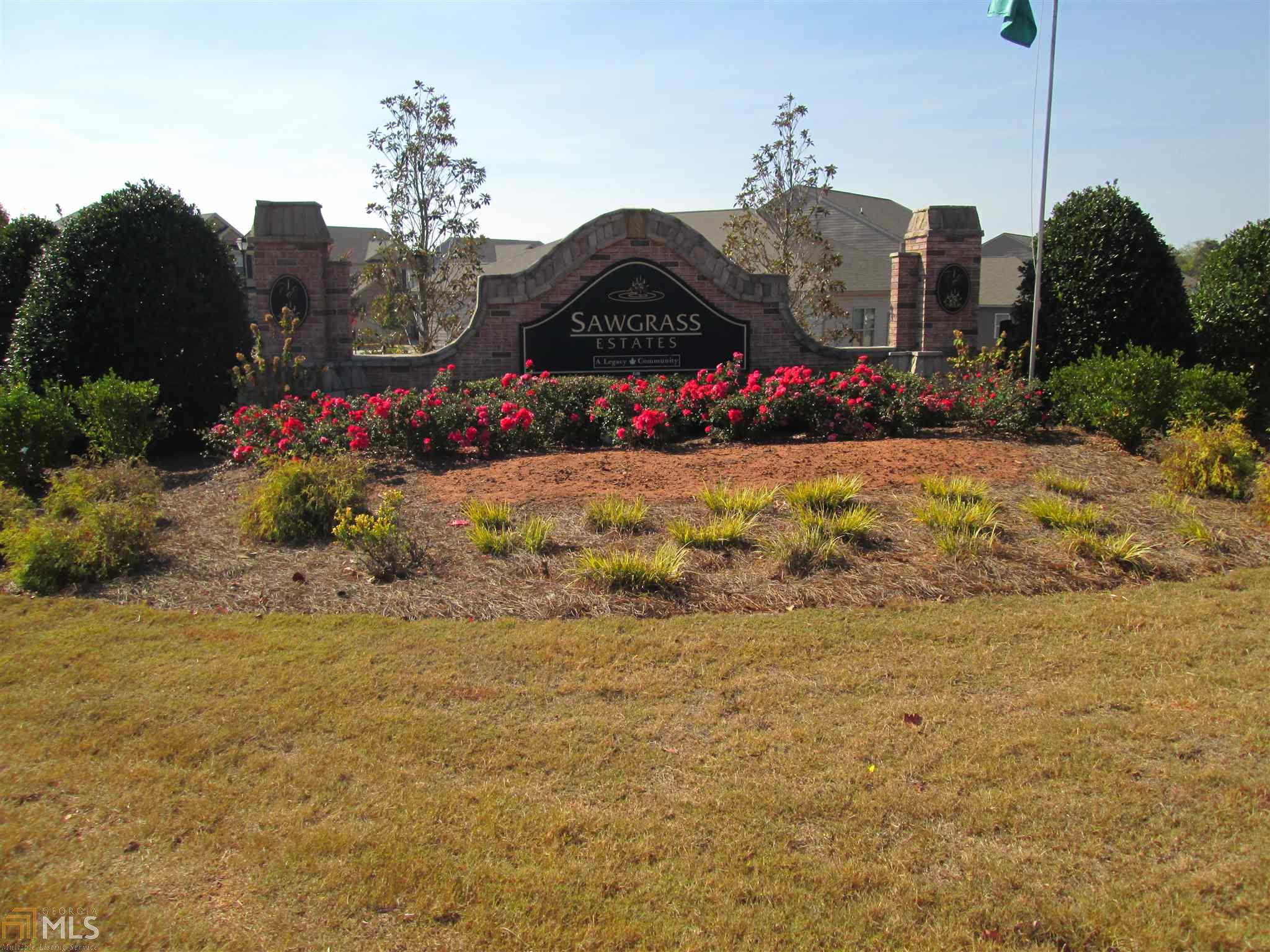 2204 Sawgrass Dr, Hampton, GA 30228 photo 2