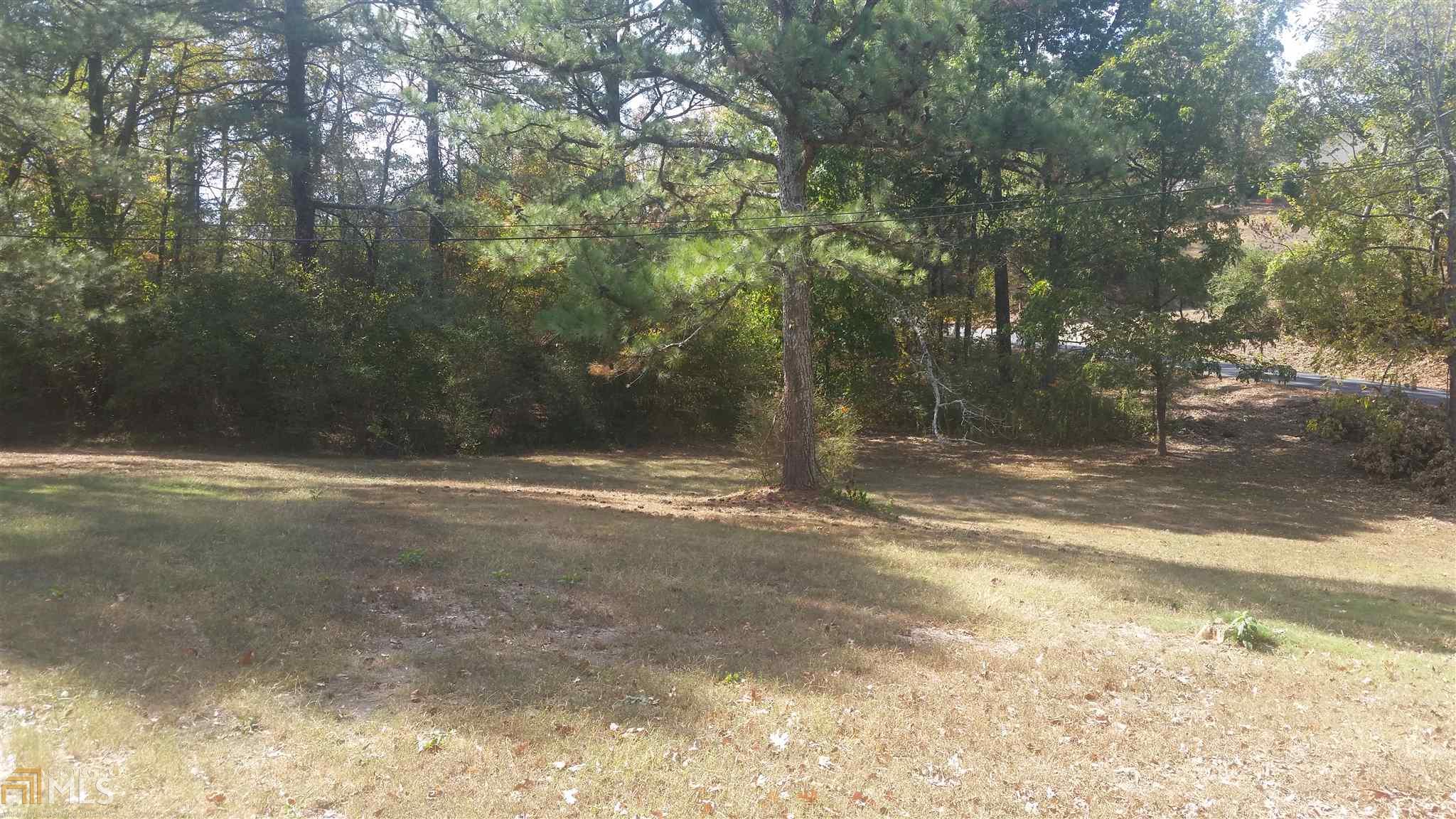 208 NE Bert Rd, Rome, GA 30161 photo 10