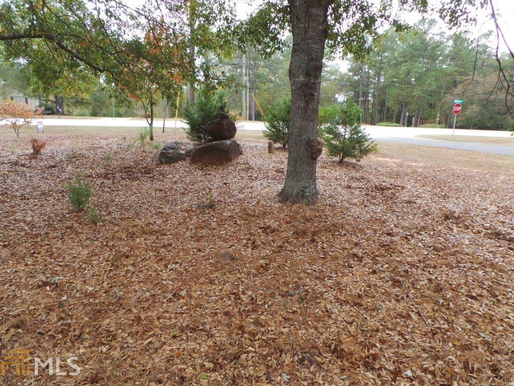 100 Holly Point Dr, Lagrange, GA 30240 photo 30