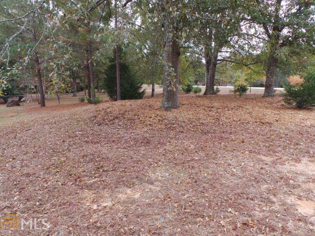 100 Holly Point Dr, Lagrange, GA 30240 photo 29