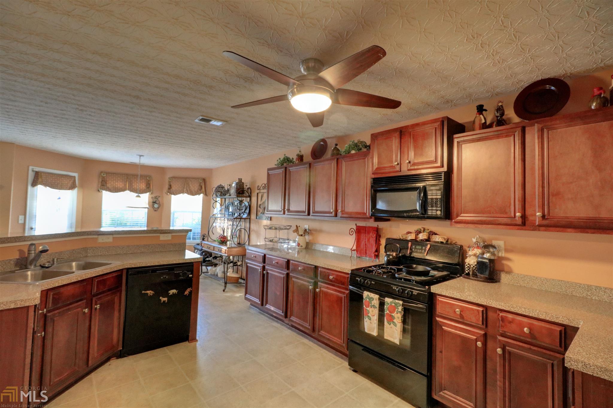 12272 Stillman Ct, Hampton, GA 30228 photo 12