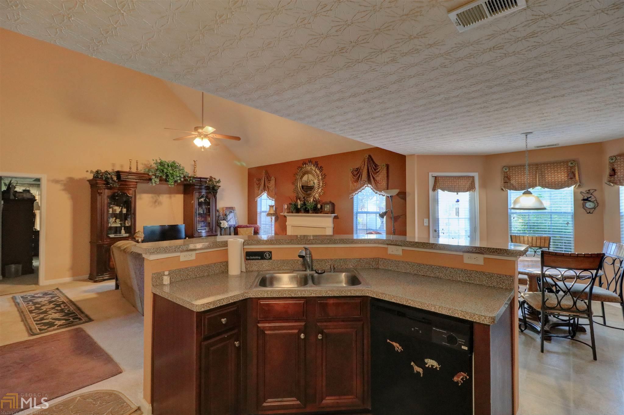 12272 Stillman Ct, Hampton, GA 30228 photo 14