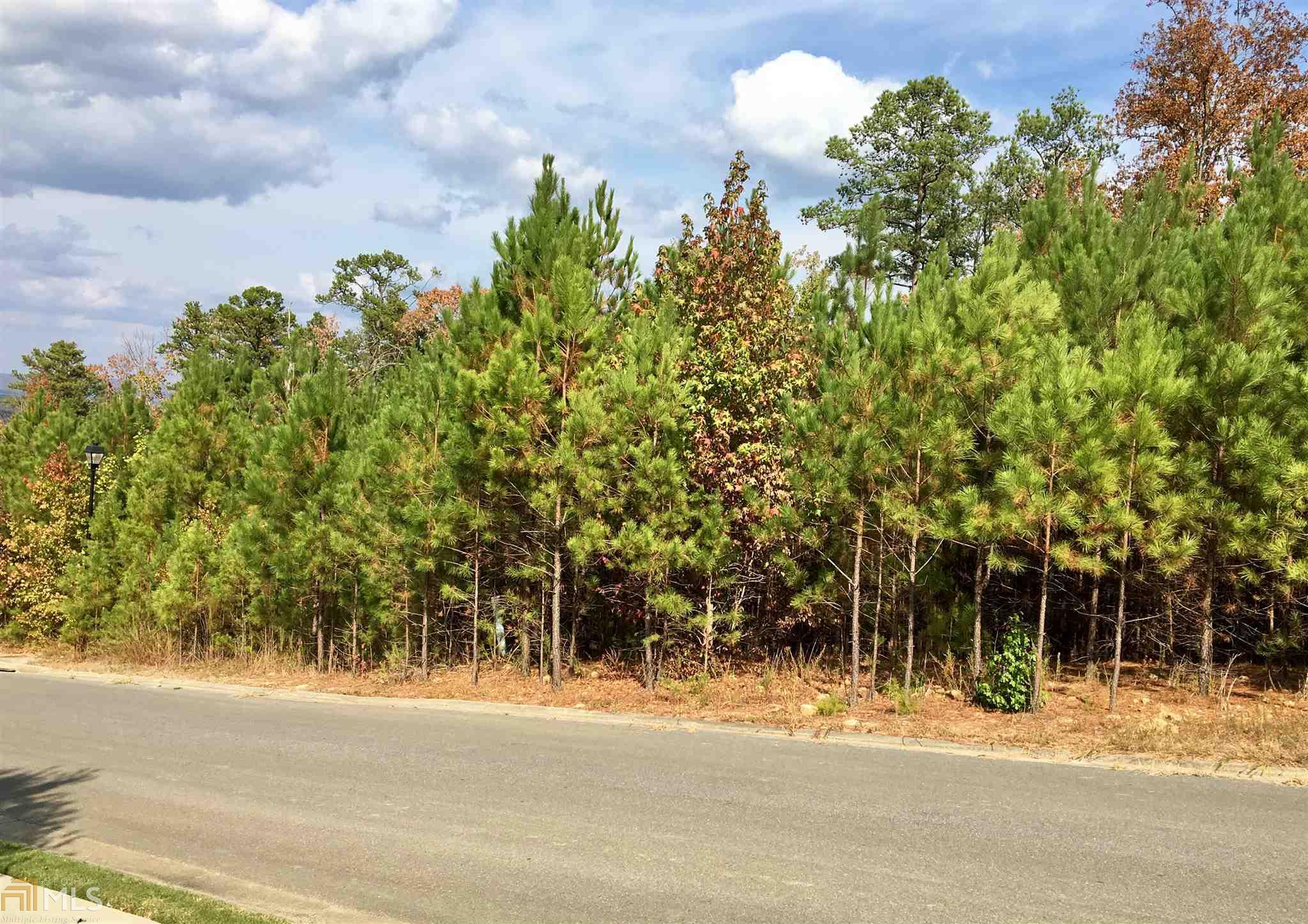 39 Mountain Crest Dr, Rome, GA 30165 photo 3