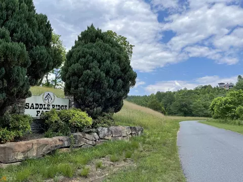 14 Saddle Ridge Farms # -B, Warne, NC 28909