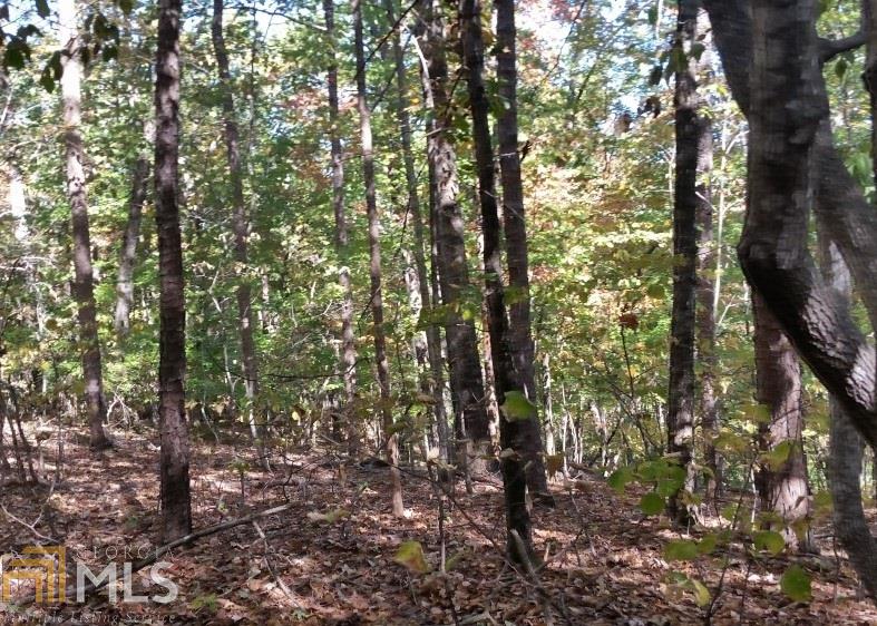 196 Pleasantdale Rd, Toccoa, GA 30577 photo 5