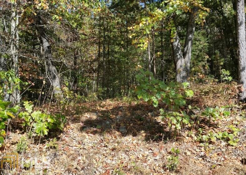 196 Pleasantdale Rd, Toccoa, GA 30577 photo 9
