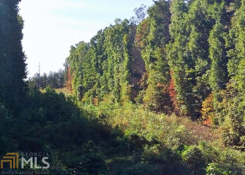 196 Pleasantdale Rd, Toccoa, GA 30577 photo 10