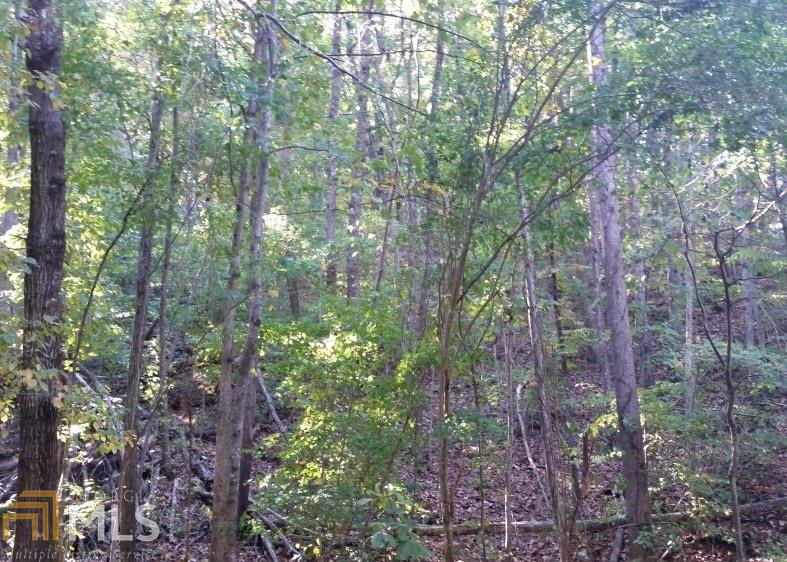 196 Pleasantdale Rd, Toccoa, GA 30577 photo 11