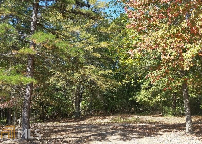 196 Pleasantdale Rd, Toccoa, GA 30577 photo 4