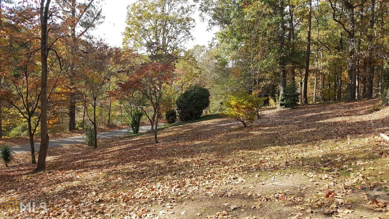 161 Laurel, Cornelia, GA 30531 photo 16