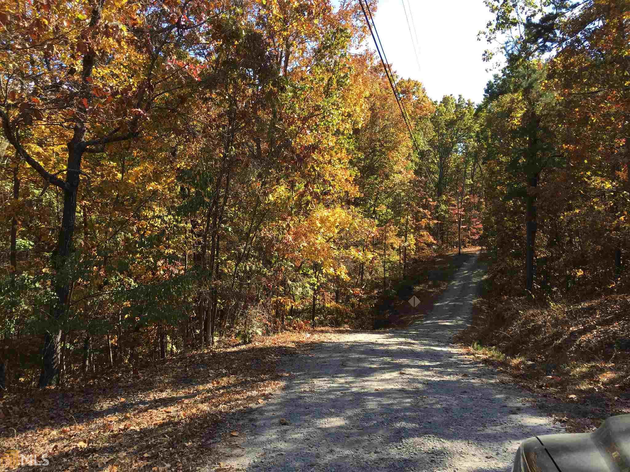 299 Pitner Ln, White, GA 30184 photo 7