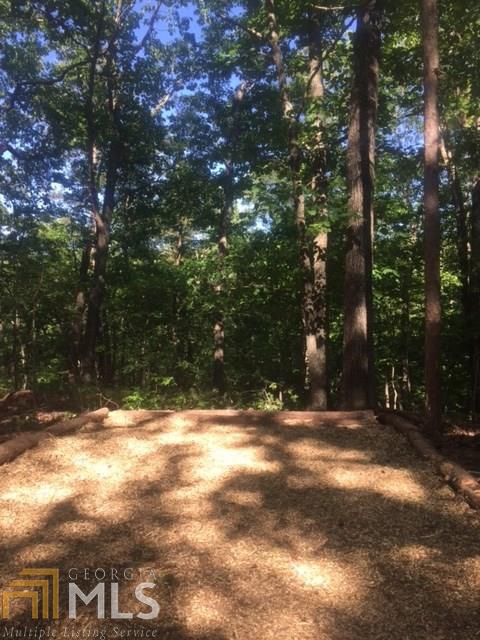 299 Pitner Ln, White, GA 30184 photo 8