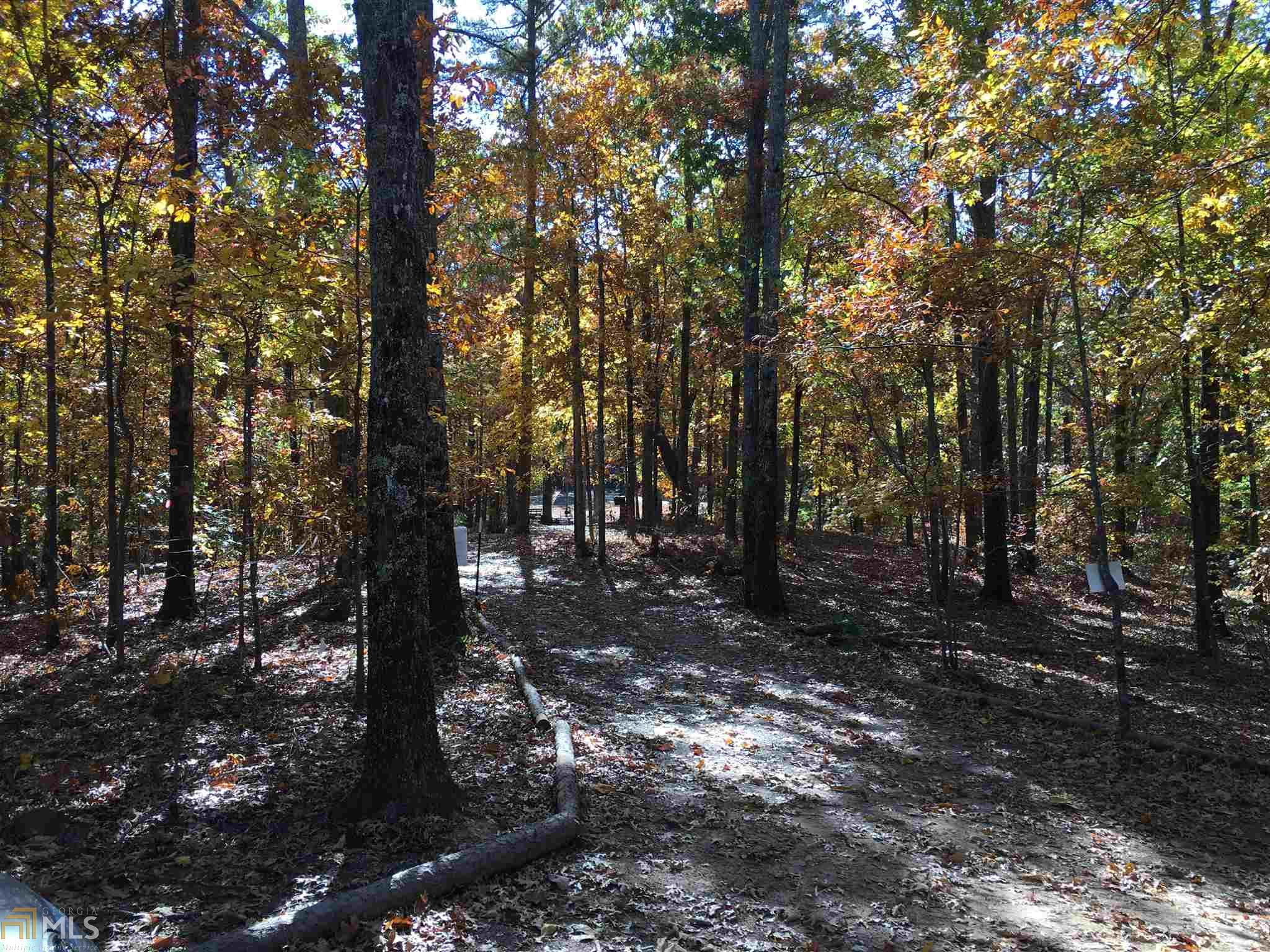 299 Pitner Ln, White, GA 30184 photo 25