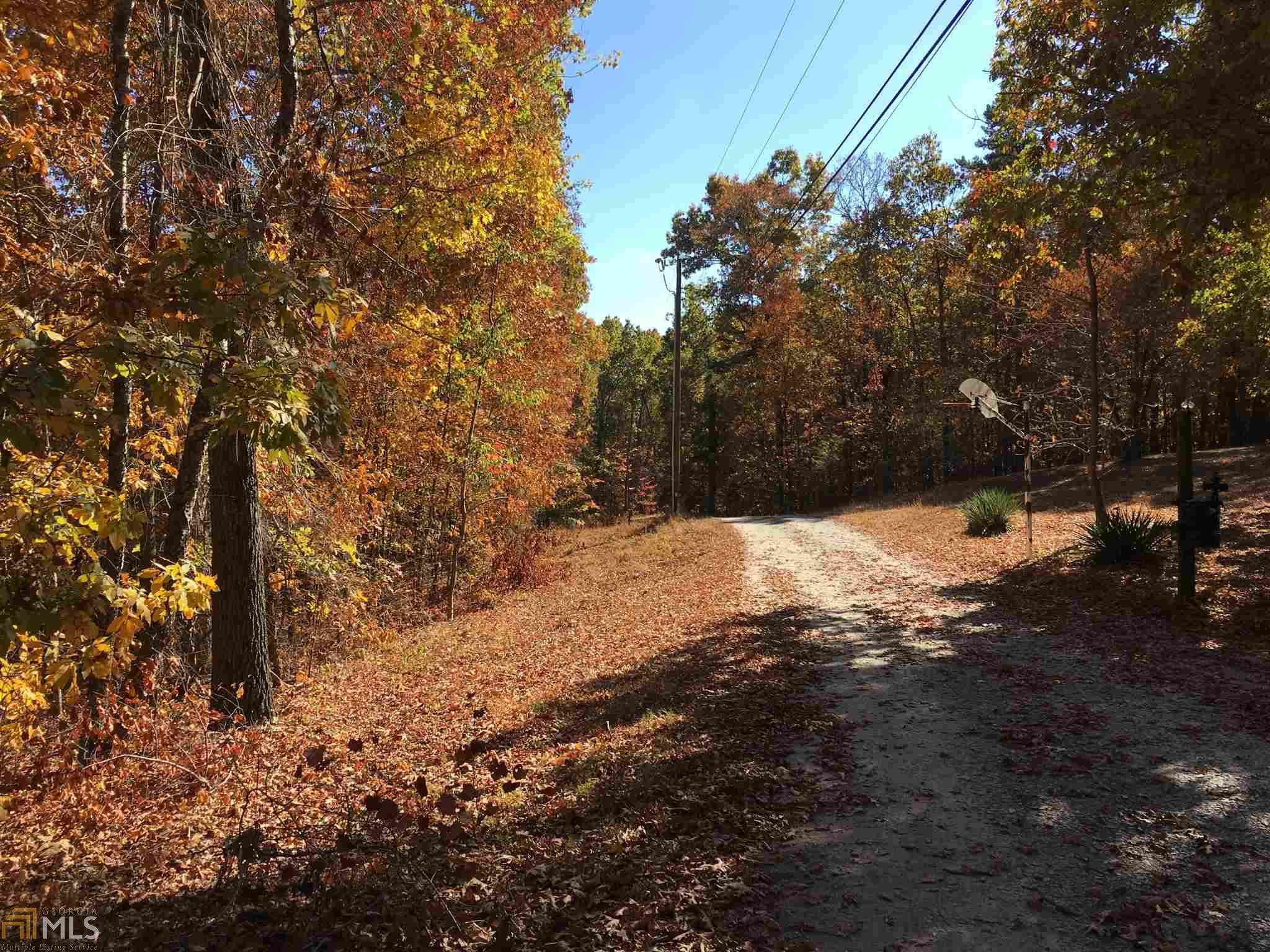 299 Pitner Ln, White, GA 30184 photo 6