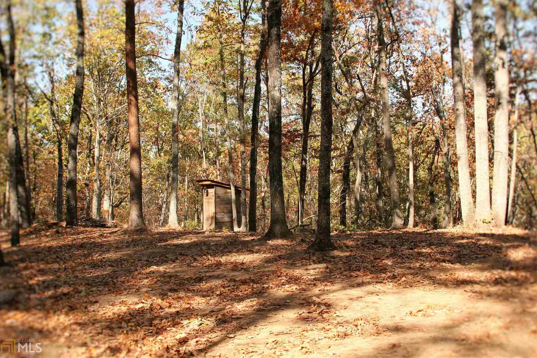 299 Pitner Ln, White, GA 30184 photo 19
