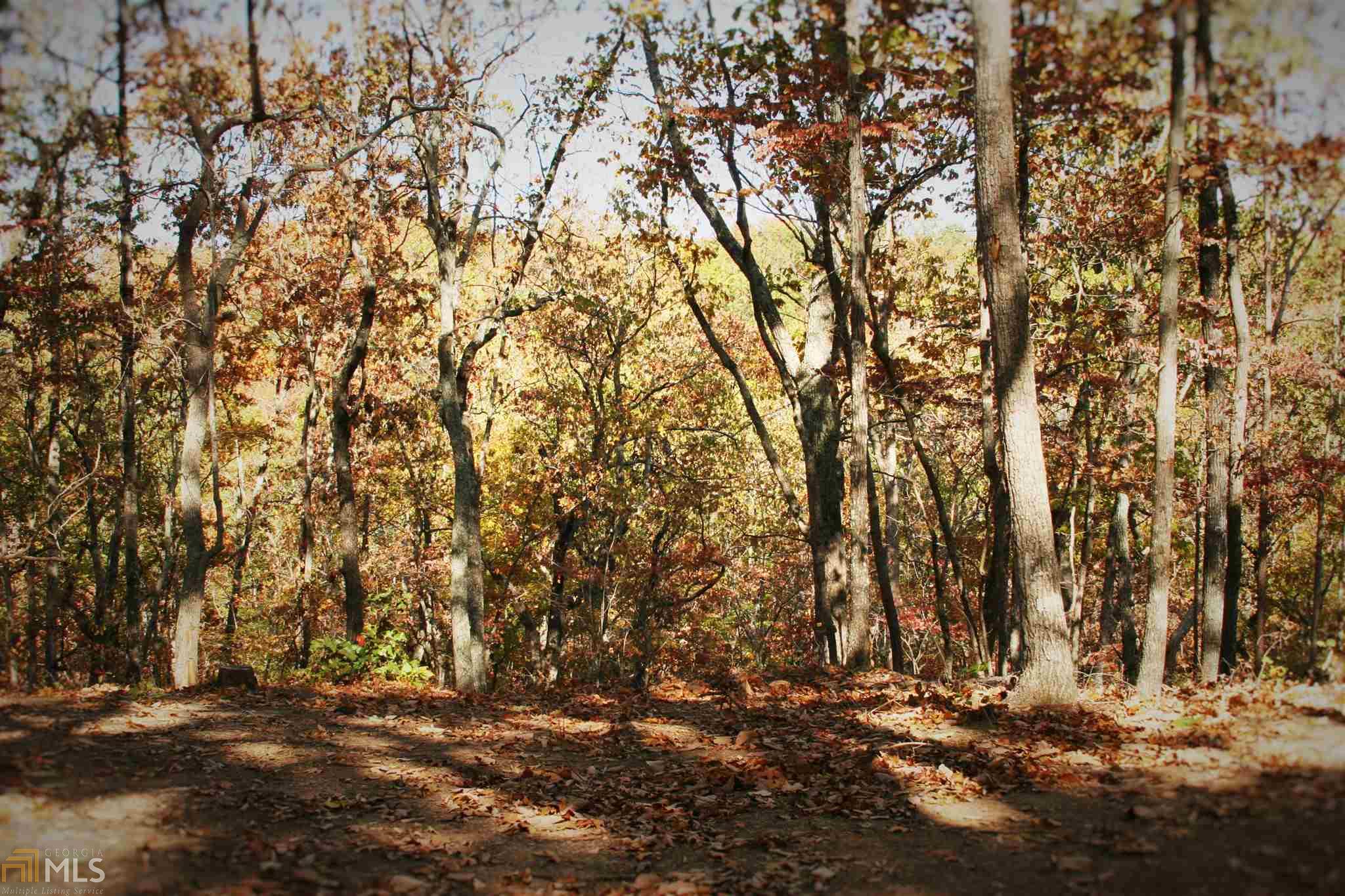 299 Pitner Ln, White, GA 30184 photo 16