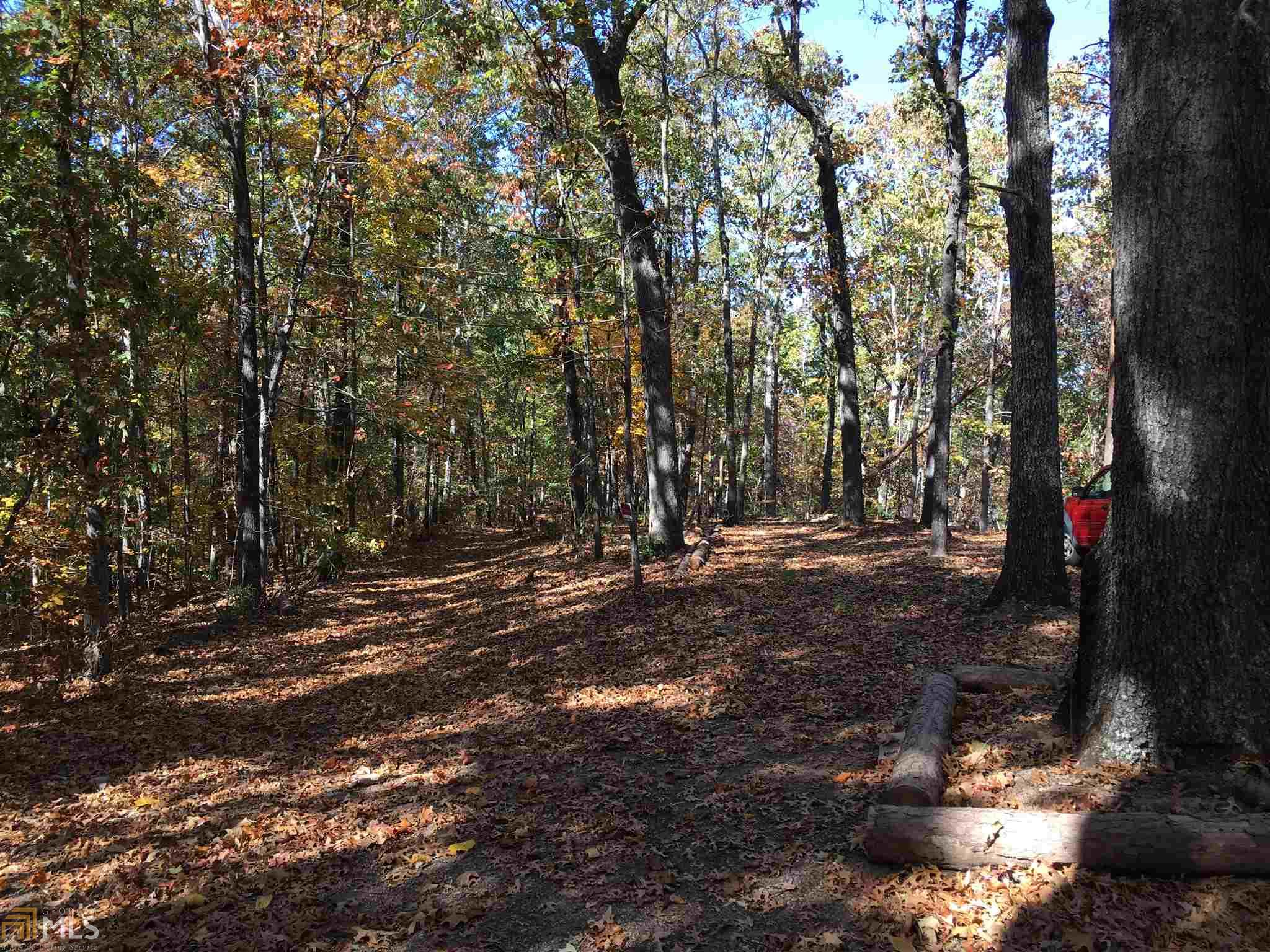 299 Pitner Ln, White, GA 30184 photo 5