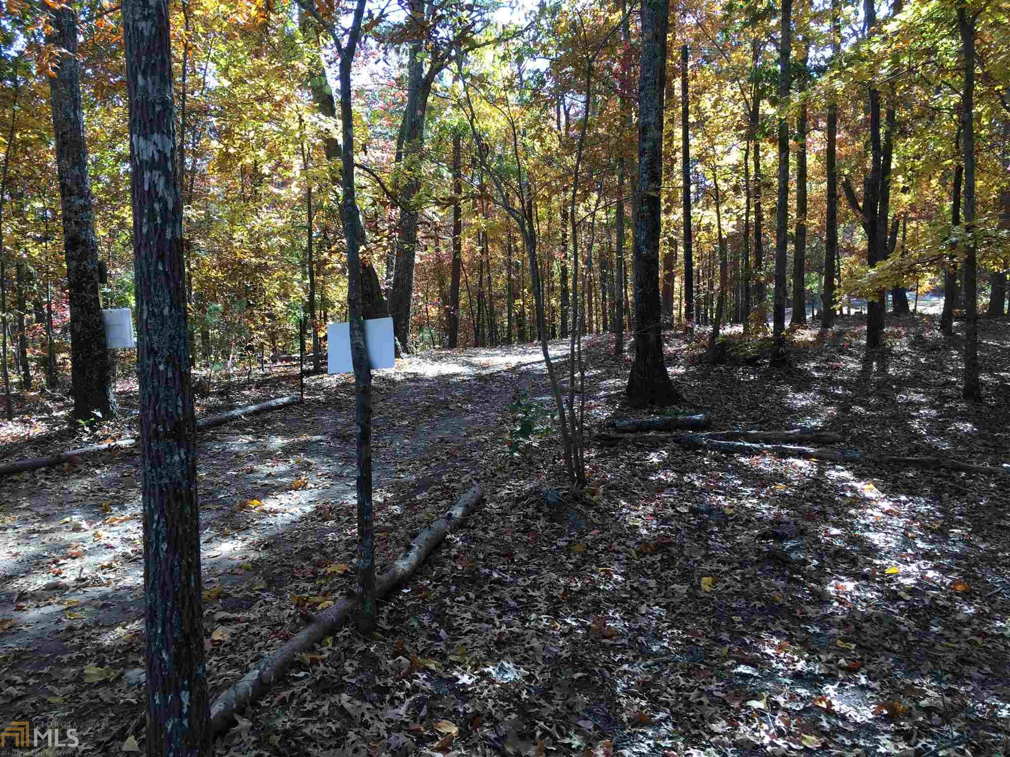 299 Pitner Ln, White, GA 30184 photo 24