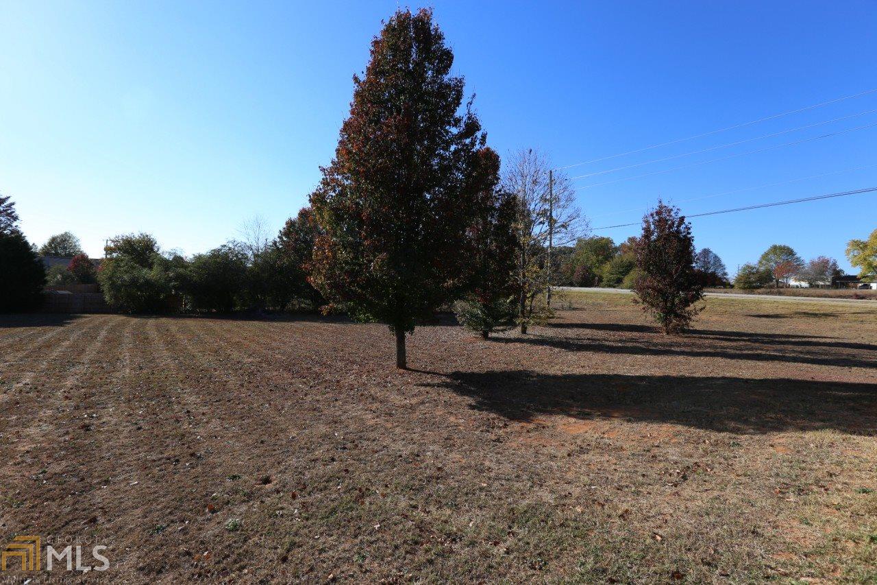 100 Kevins Dr, Hampton, GA 30228 photo 33