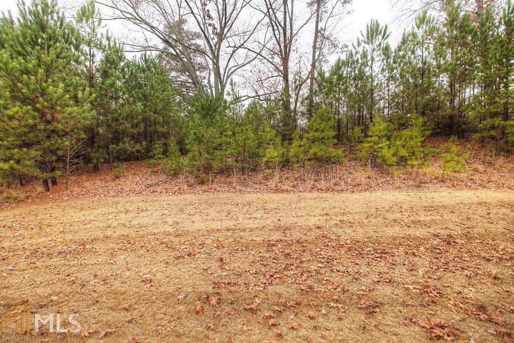 35 Vireo Pl, Covington, GA 30014 photo 4