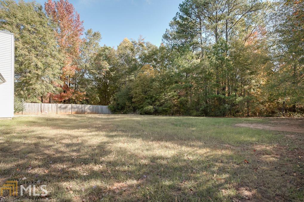 145 River View Ct, Hampton, GA 30228 photo 4