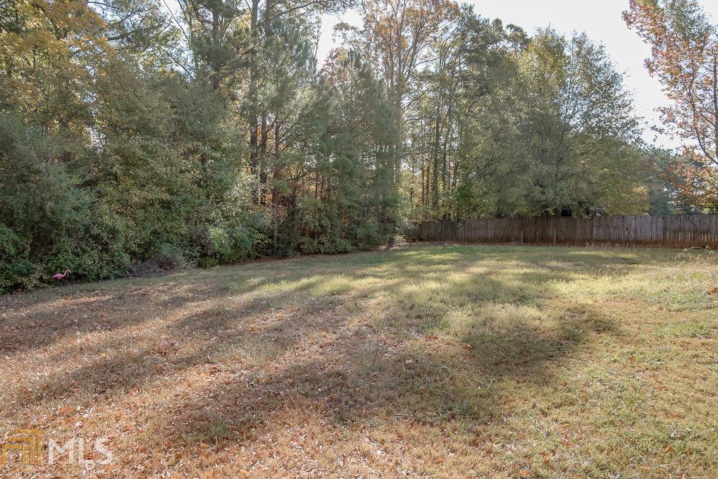 145 River View Ct, Hampton, GA 30228 photo 6