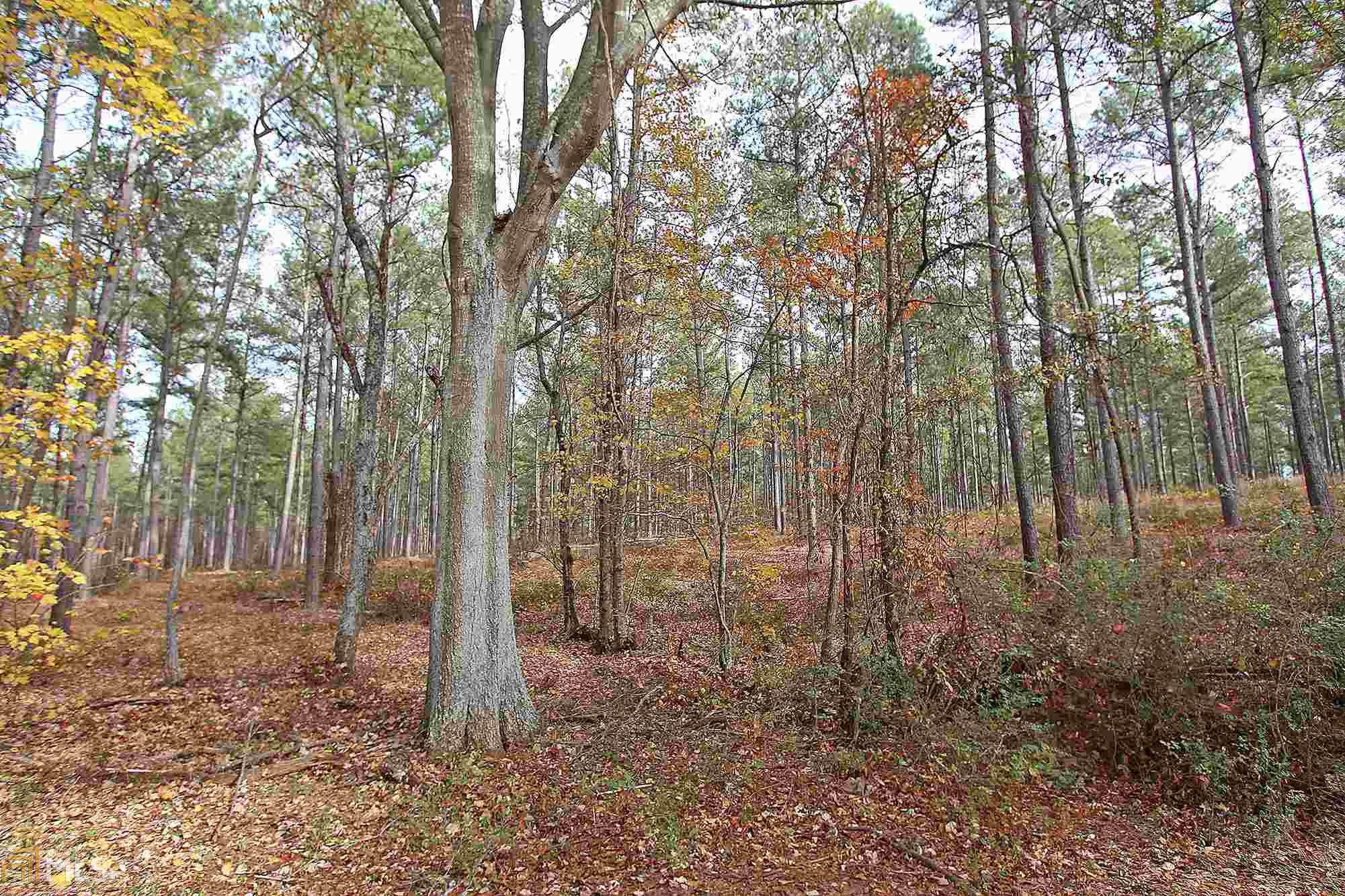 278 Fleeman Brown Rd, Hull, GA 30646 photo 28