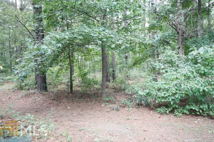 54 Edge Pointe Pl, Byron, GA 31008 photo 27