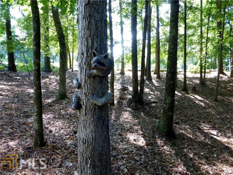 261 Garner Rd, Buchanan, GA 30113 photo 3