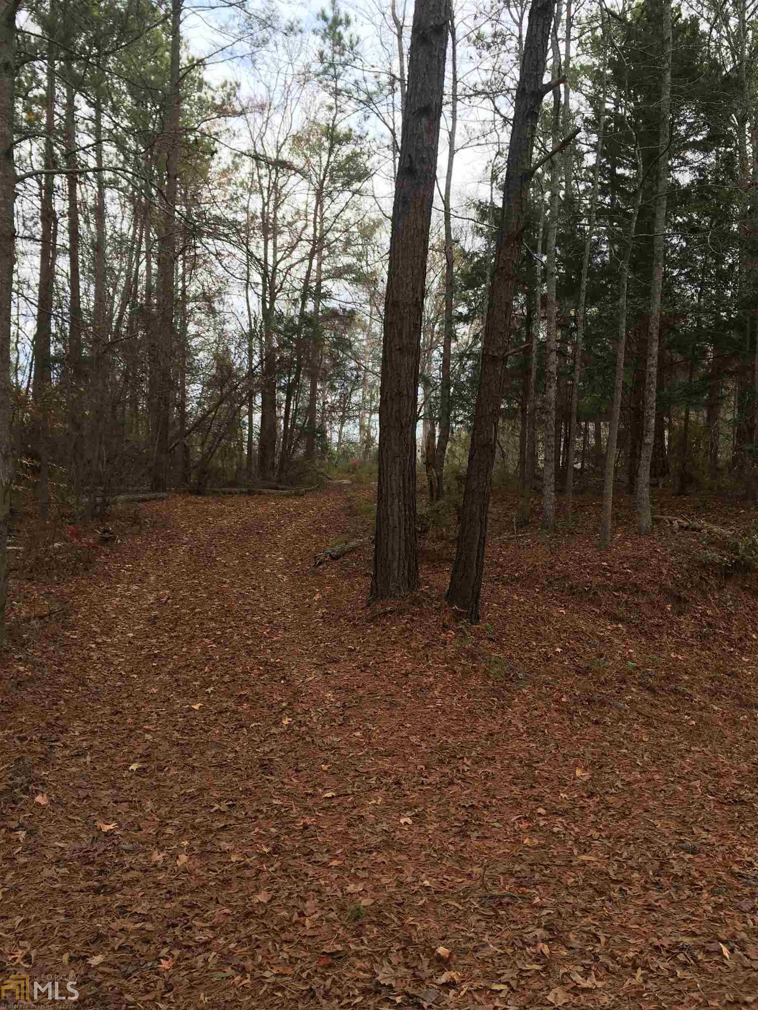 157 Mccrary, Molena, GA 30258 photo 7