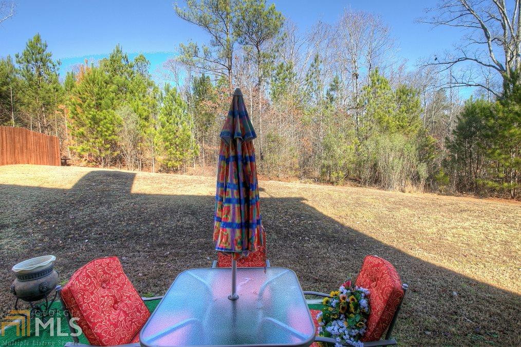 1121 Watercourse Way, Hampton, GA 30228 photo 4