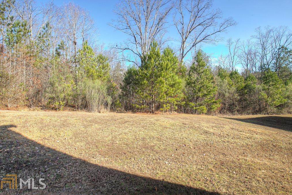 1121 Watercourse Way, Hampton, GA 30228 photo 20