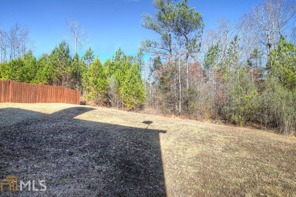 1121 Watercourse Way, Hampton, GA 30228 photo 22