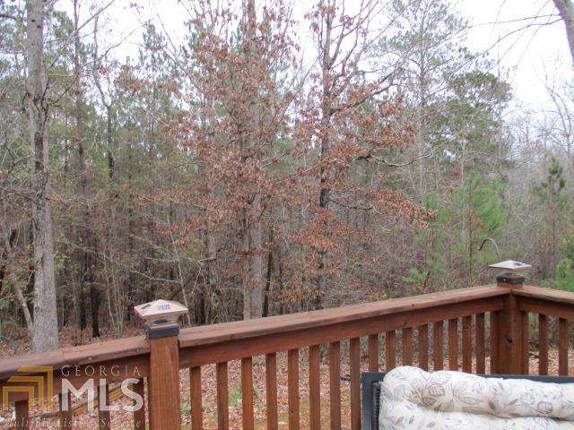 229 Stillwater Ct, Hampton, GA 30228 photo 9