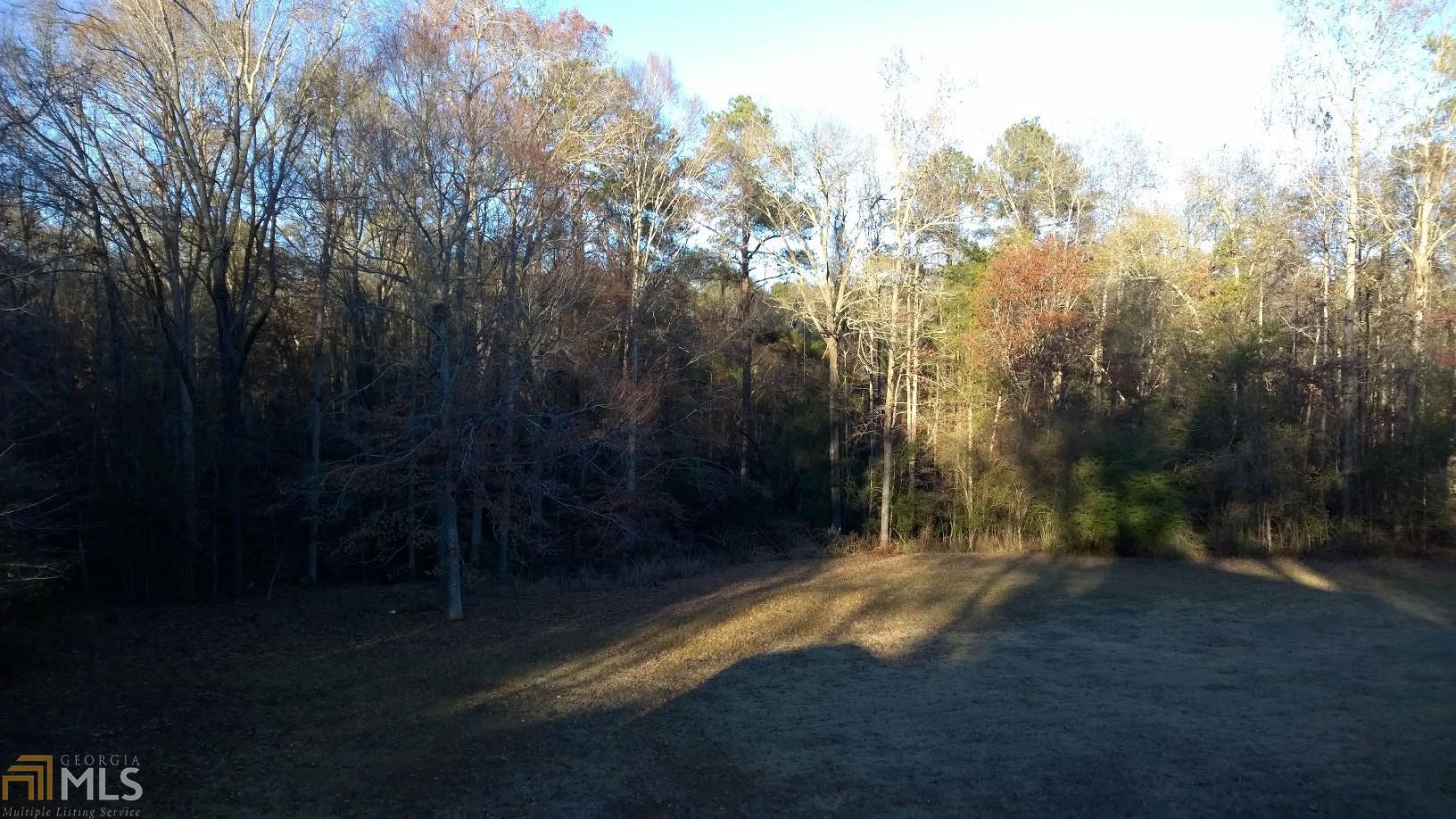 232 Roberts Loop, Thomaston, GA 30286 photo 33