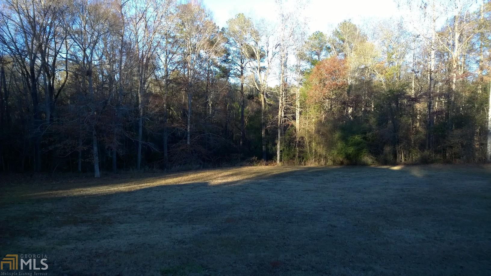 232 Roberts Loop, Thomaston, GA 30286 photo 34