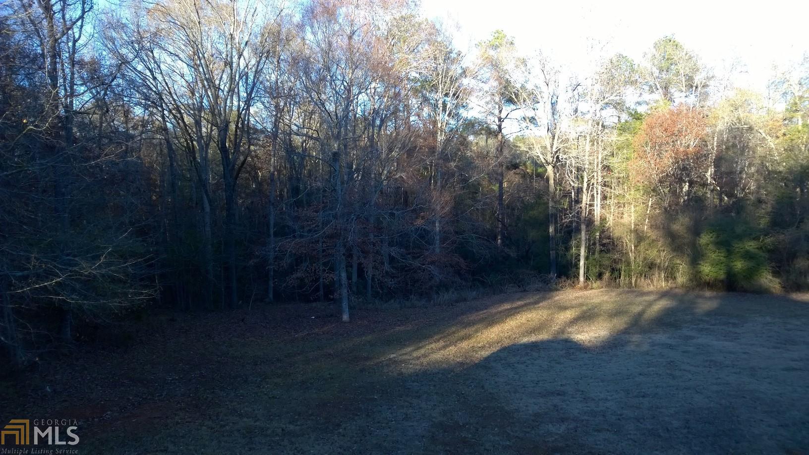 232 Roberts Loop, Thomaston, GA 30286 photo 31