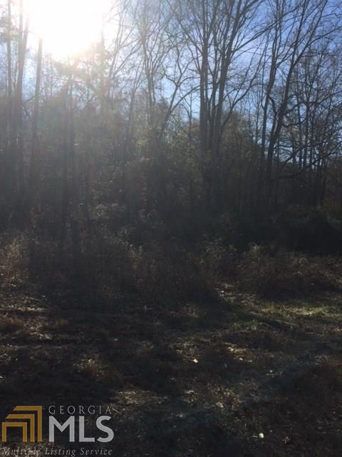 90 Blakely Chappelear Rd, Martin, GA 30557 photo 4