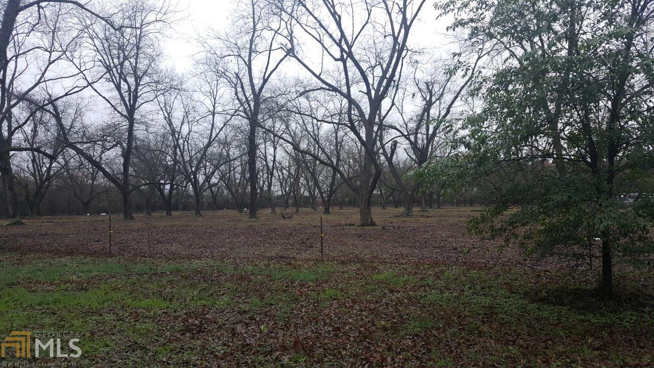 172 Cooks Mill Rd, Oglethorpe, GA 31068 photo 10
