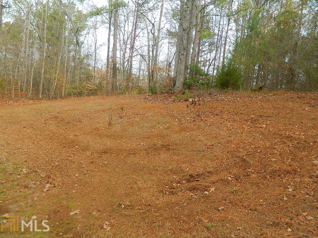 290 Willow Shoals Rd, Covington, GA 30016 photo 19