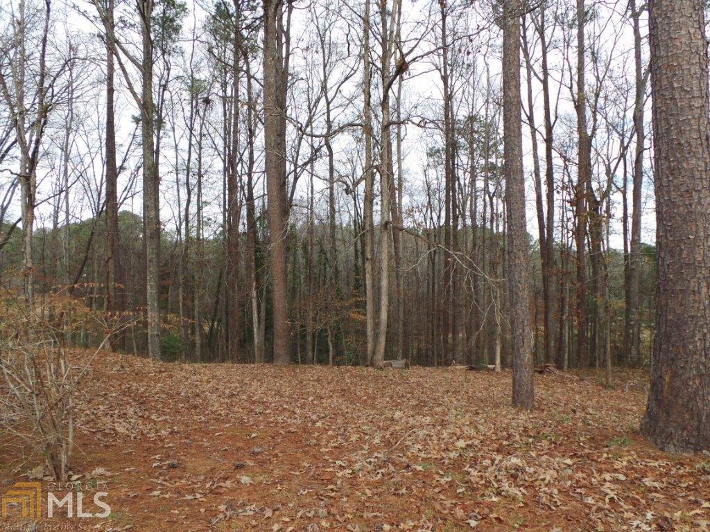 551 Fling Rd, Lagrange, GA 30240 photo 15