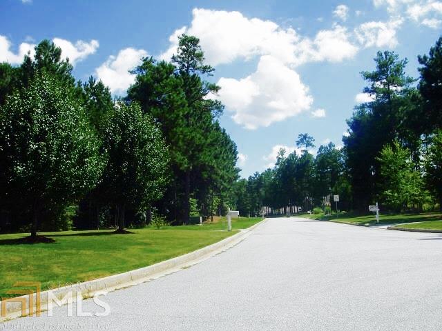 900 Talley St, Hampton, GA 30228 photo 3