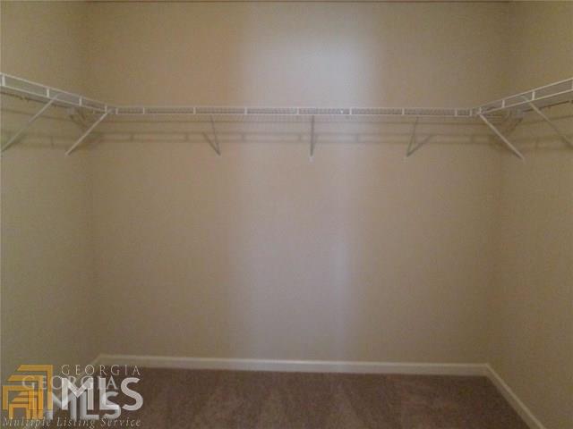 1202 Vienna Ct, Hampton, GA 30228 photo 23