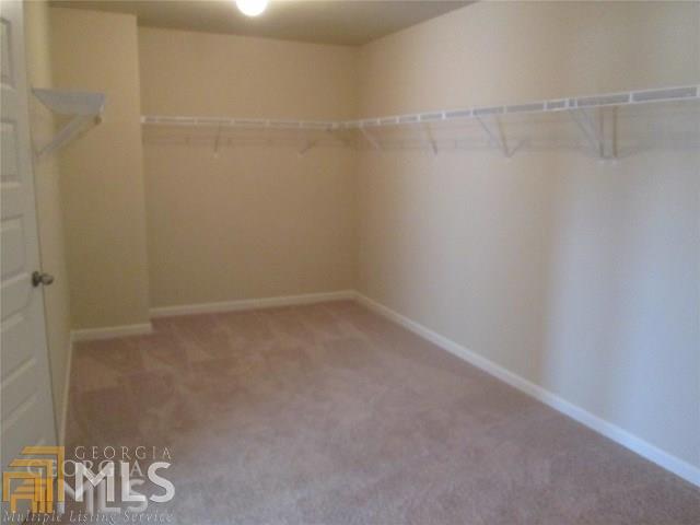 1202 Vienna Ct, Hampton, GA 30228 photo 20